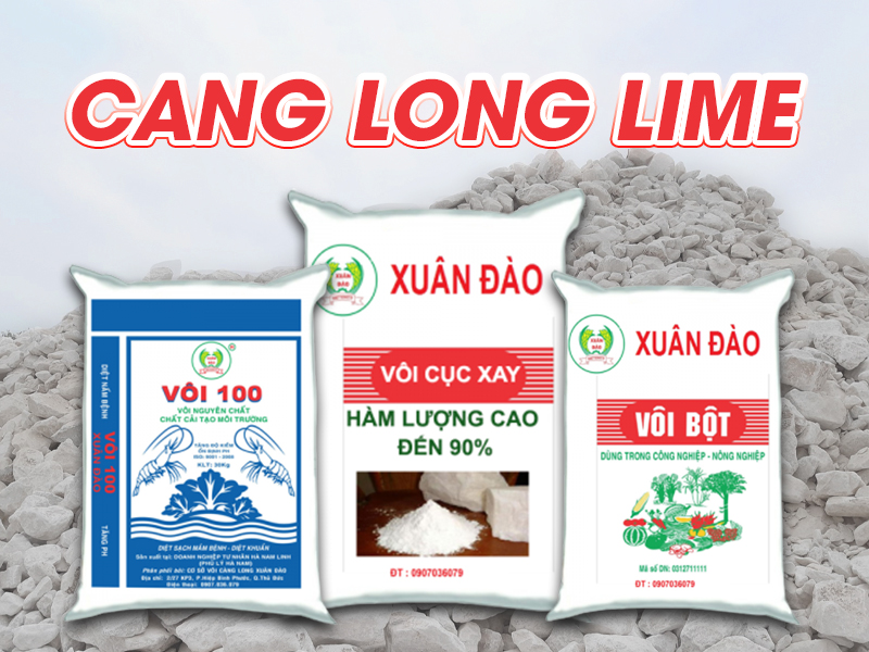 Cang Long Lime Company Limitted